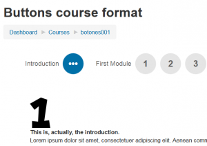 Buttons course format 9 buttons section 1.png