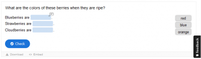 H5P example drag the words.png